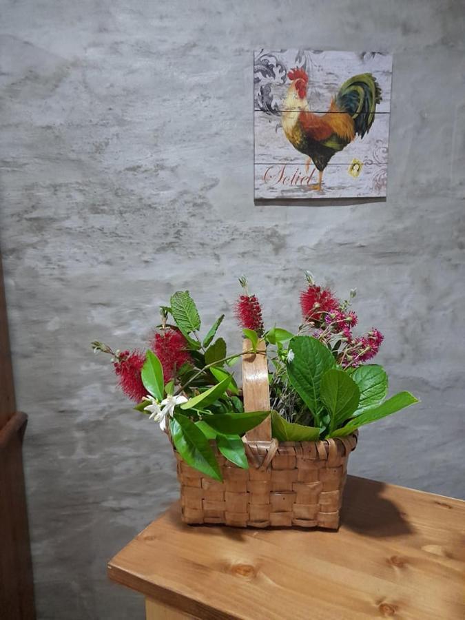 Casa Dona Eufemia Bed & Breakfast Pinhao Luaran gambar